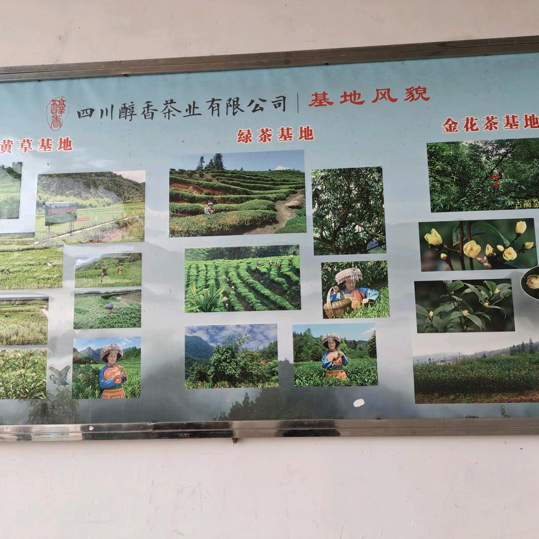 用时间证明一切