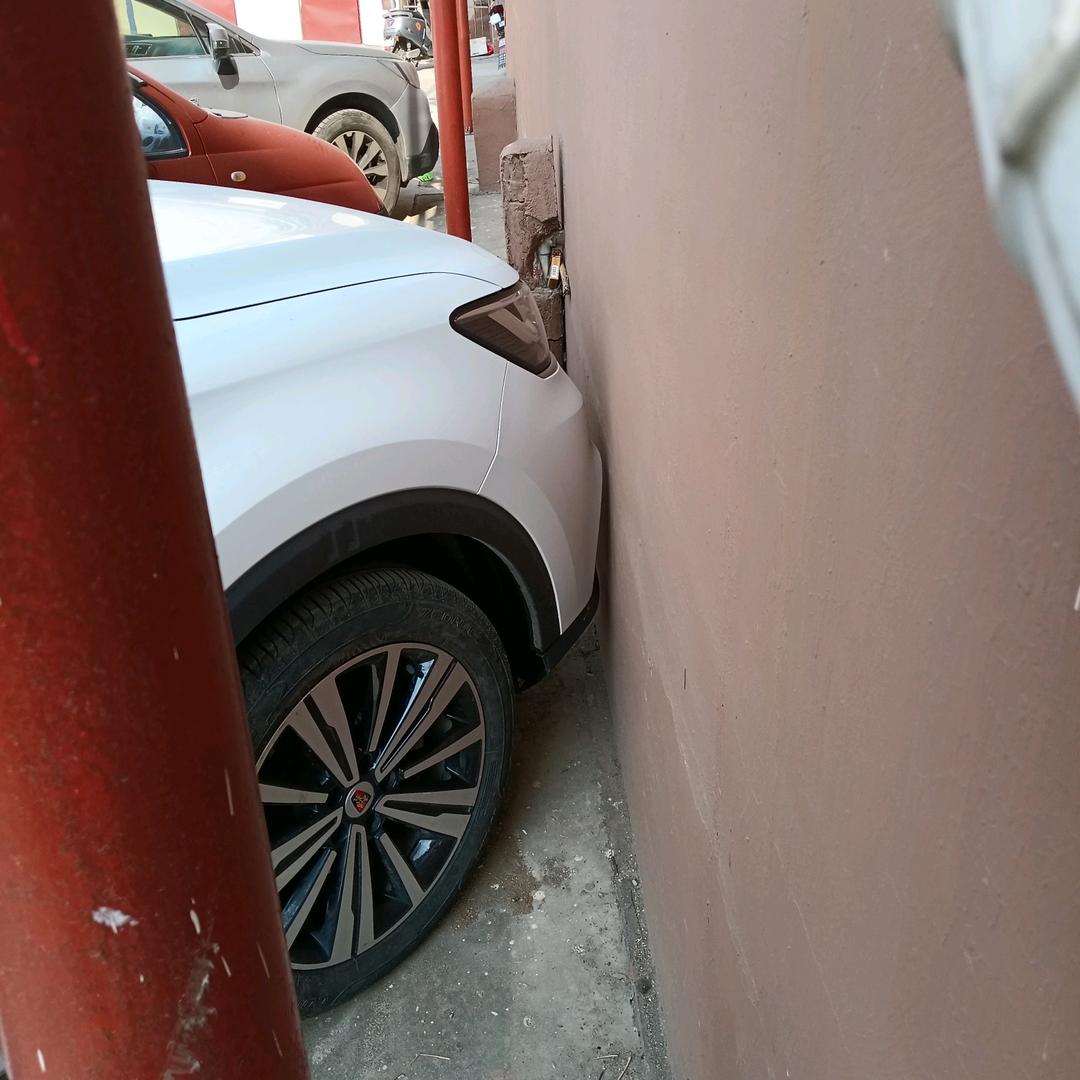 大磊