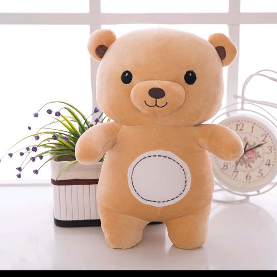 小熊认知与实践