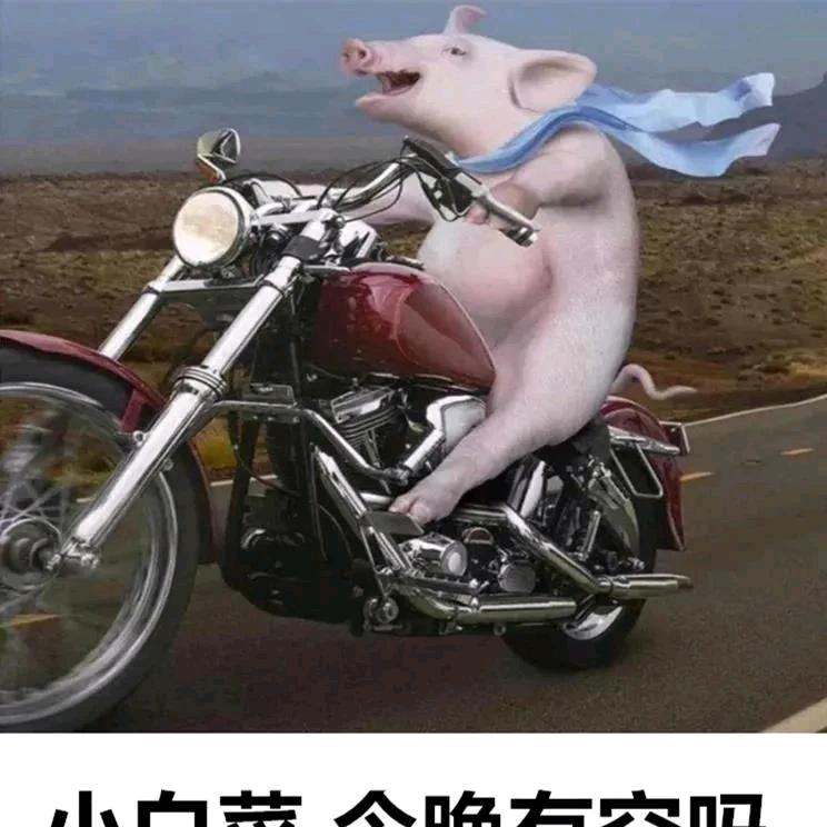 找不到回头的鱼