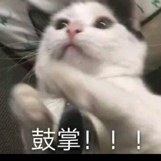 左小灰