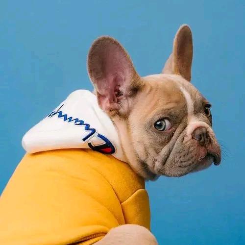 ಟೊಡ微笑的🐟