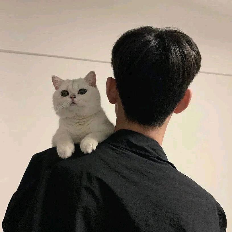 心动。