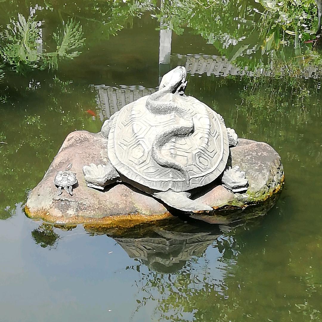 蜗牛快跑