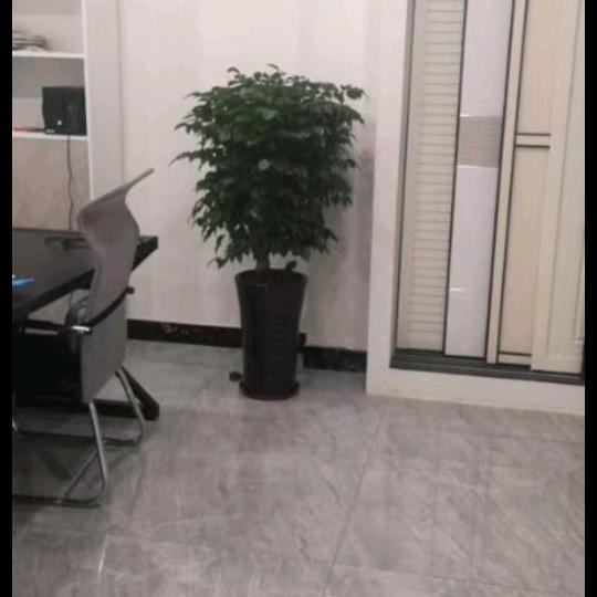 继类