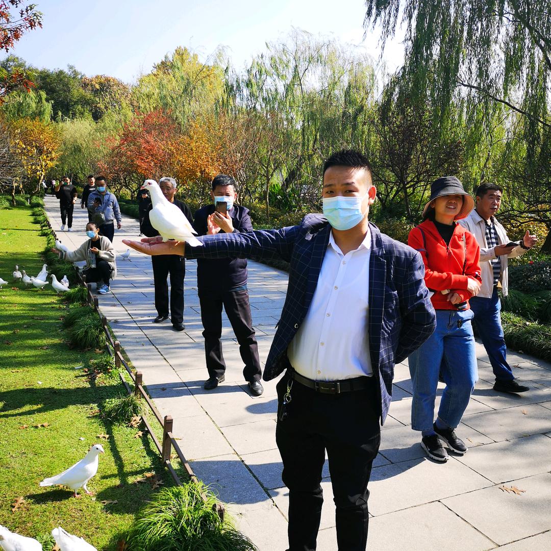 一步一个脚印2