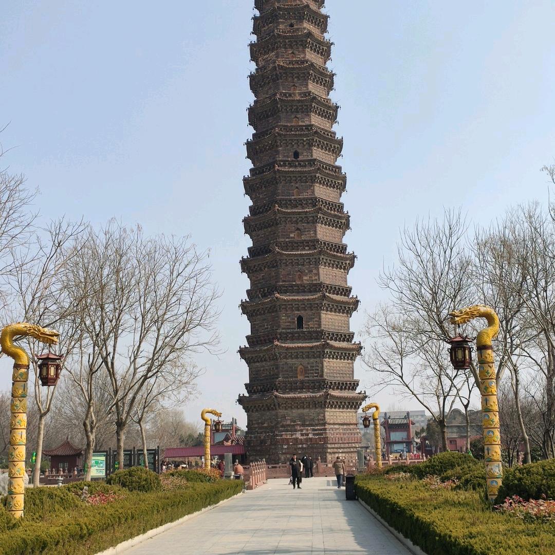 杨新志专业打井