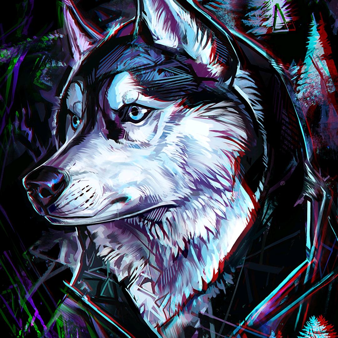 。。。。。