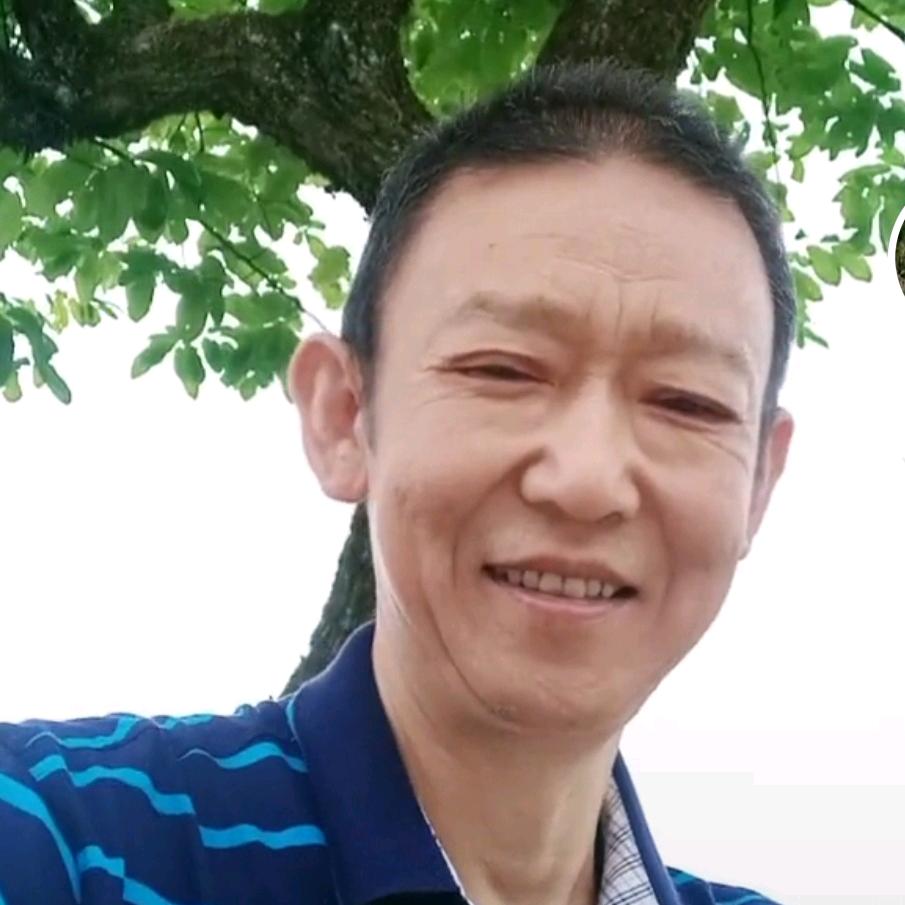 杨华林