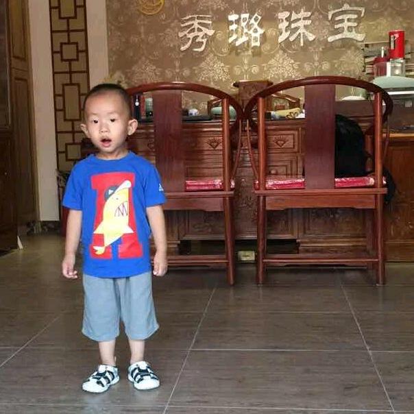 大艾无言
