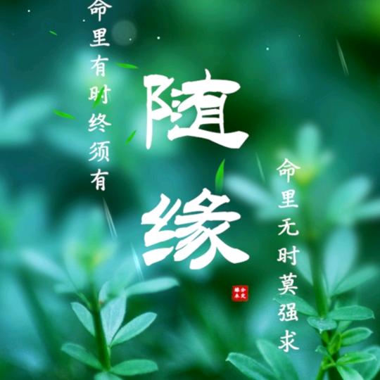 小燕剔尖酸菜面