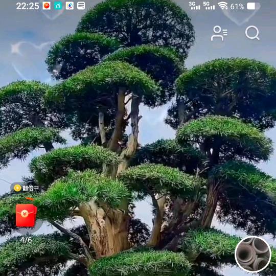 二兄