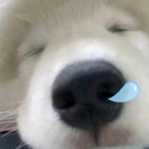 ¥.