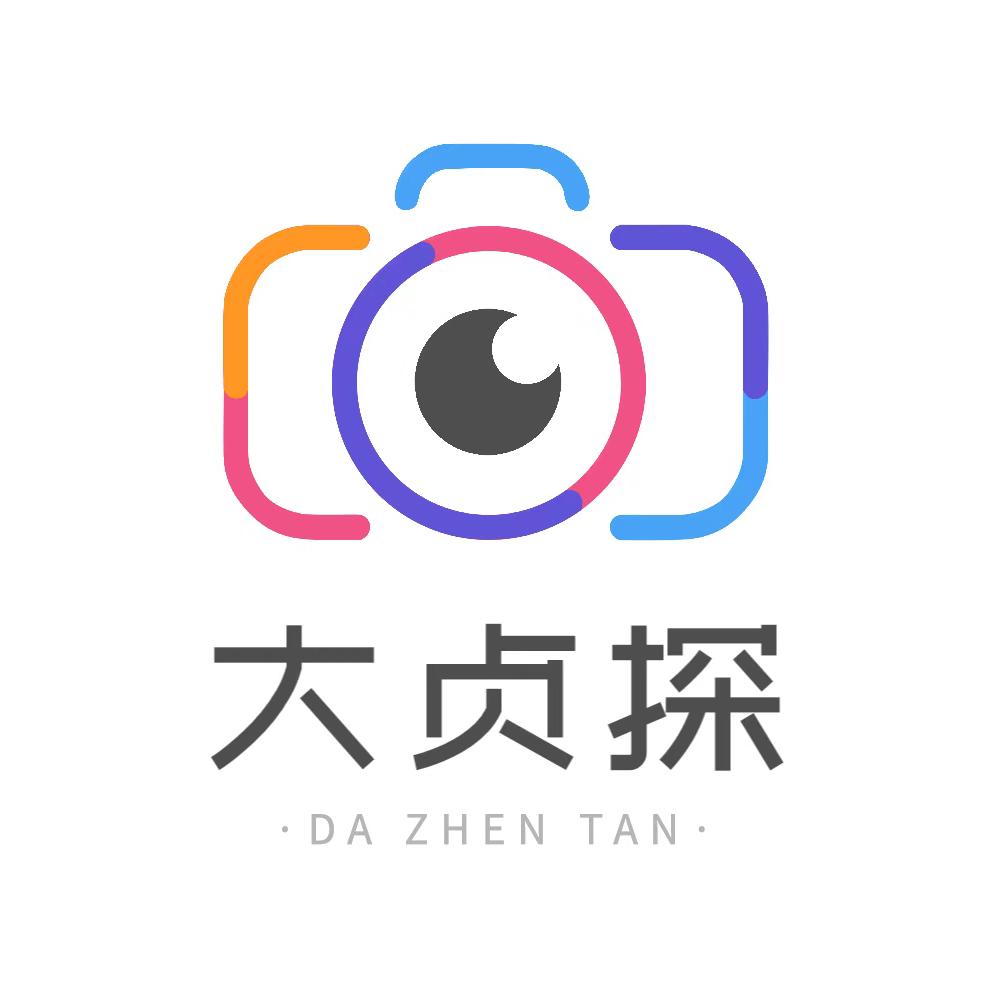 大贞探