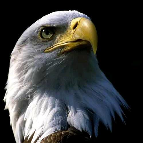 云鹏带你看世界@抖音