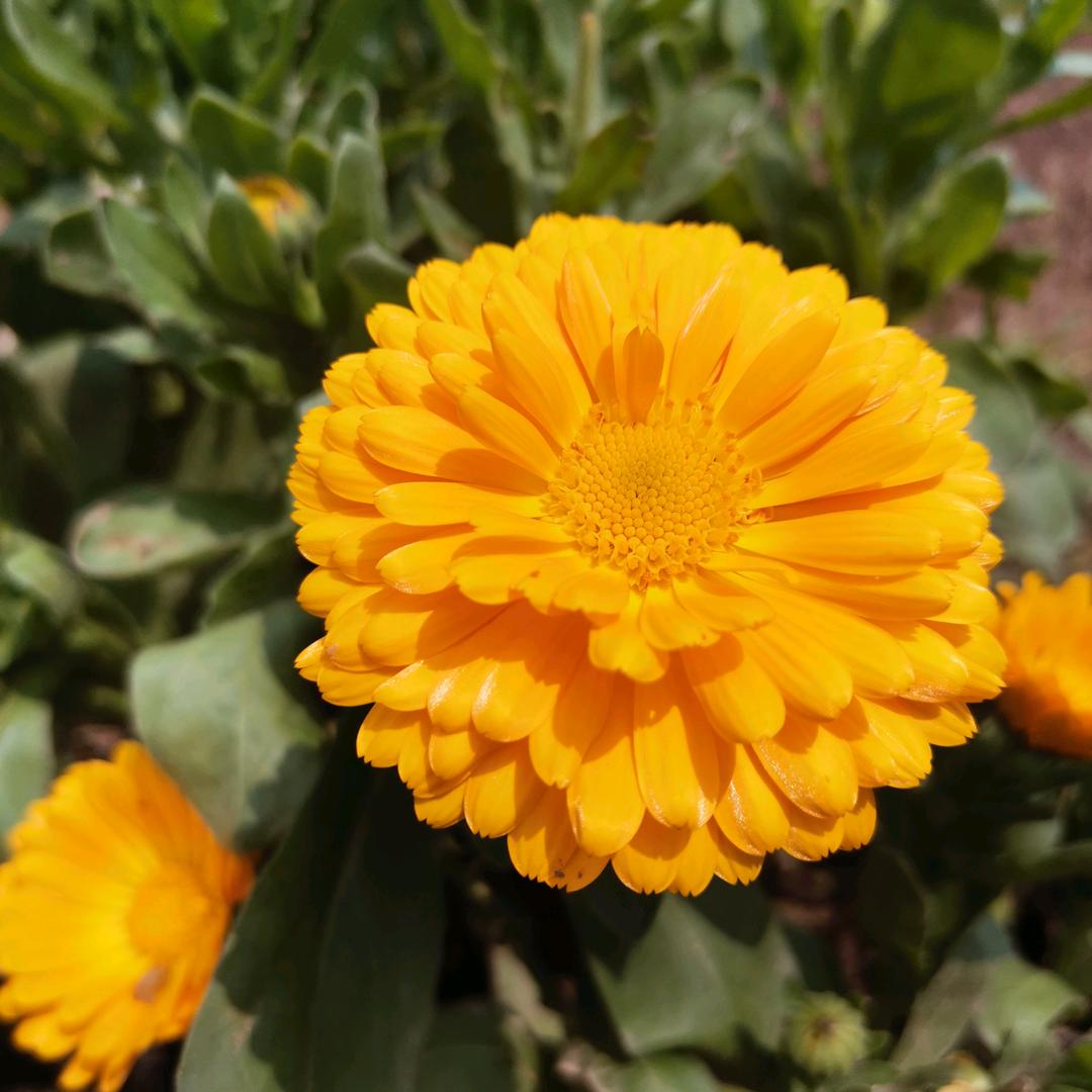 我就是我不一样的烟火6477