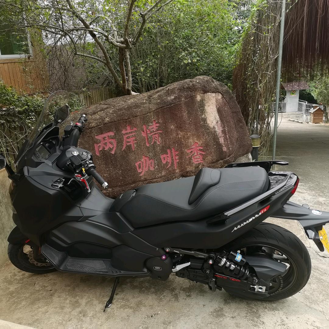 老枞水仙