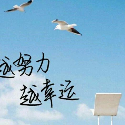 张金平