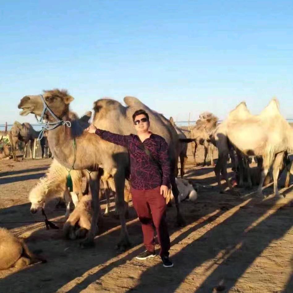 双峰壹号骆驼奶～招商加盟