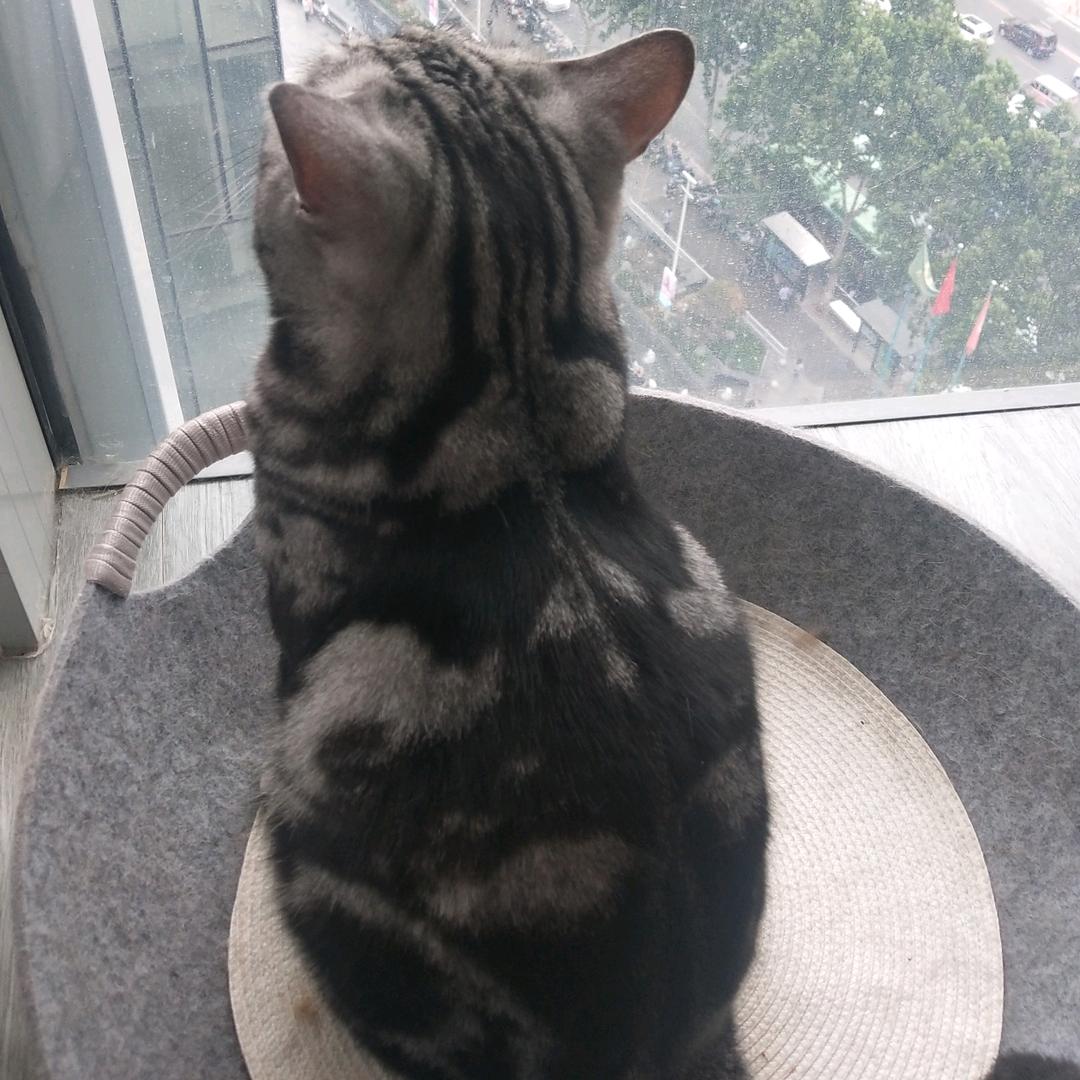 心静自然梁女士