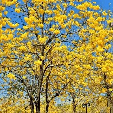 婧怡用户5913526061440