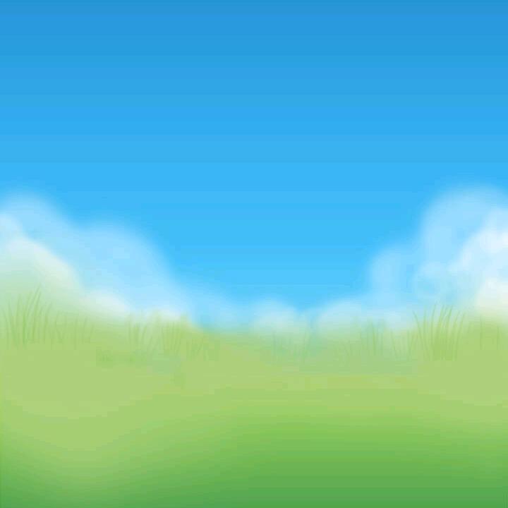 放飞自我