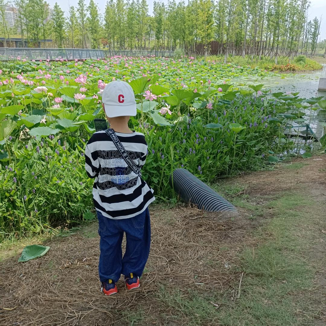 @刘鑫