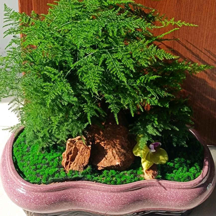 潍坊外贸 内贸T恤卫衣代工厂