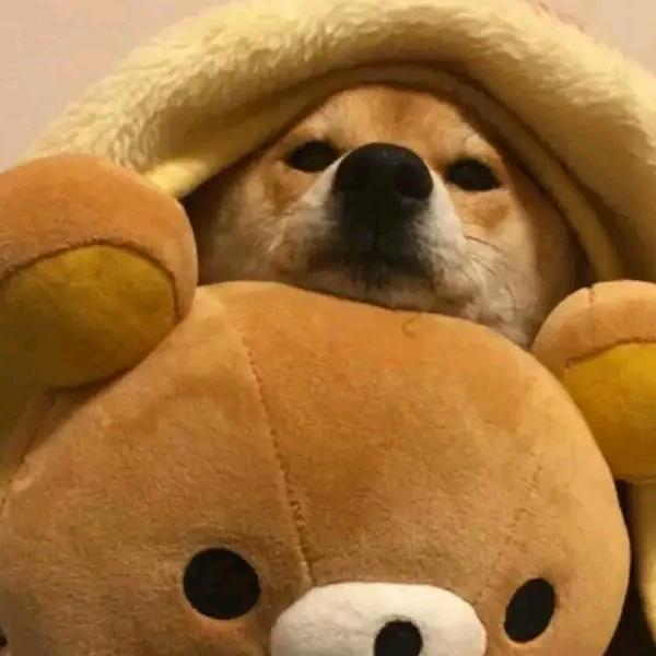 月半