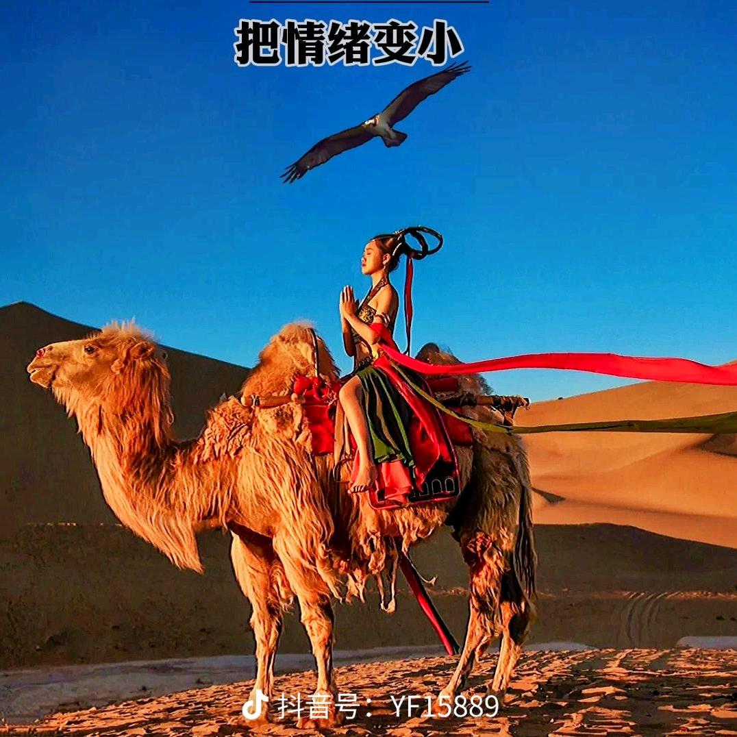 忘优草🌈🌈🌈