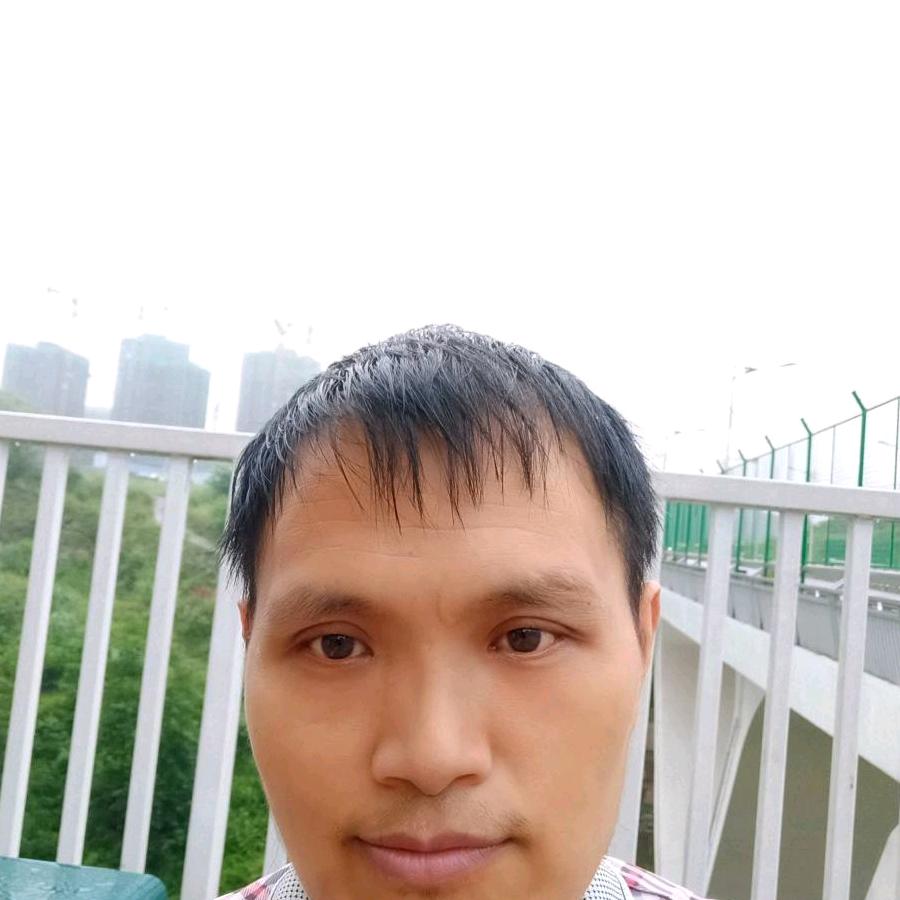 风中的树