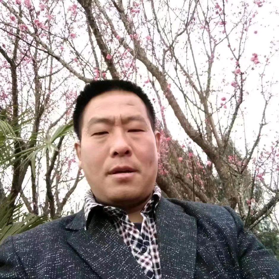高全彪