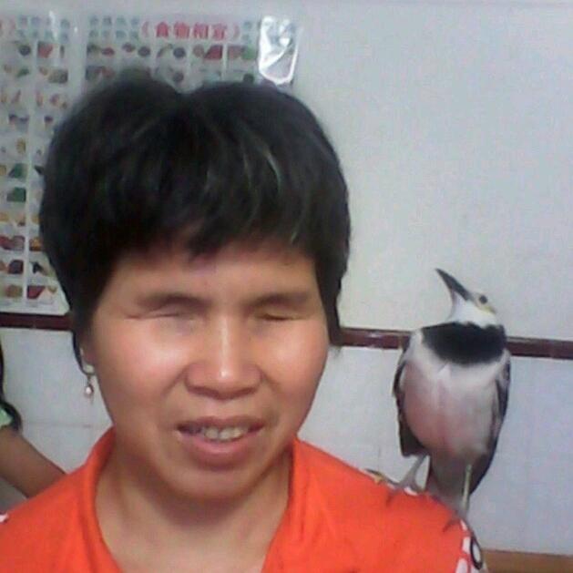 平和曾巧儿