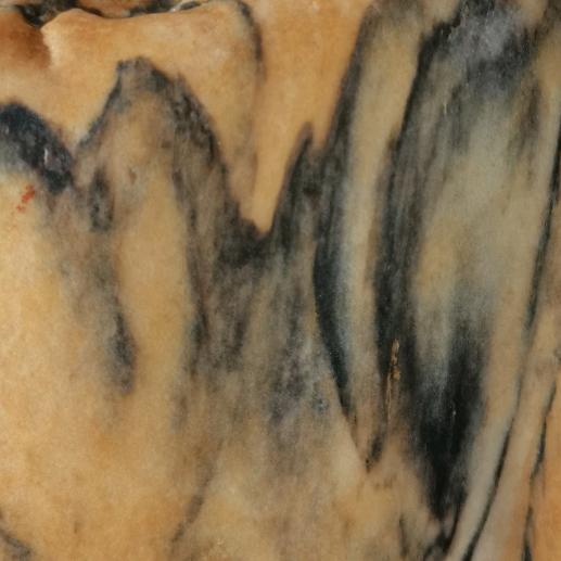 一介布衣.抖音小号（朱朱奇石盆栽）