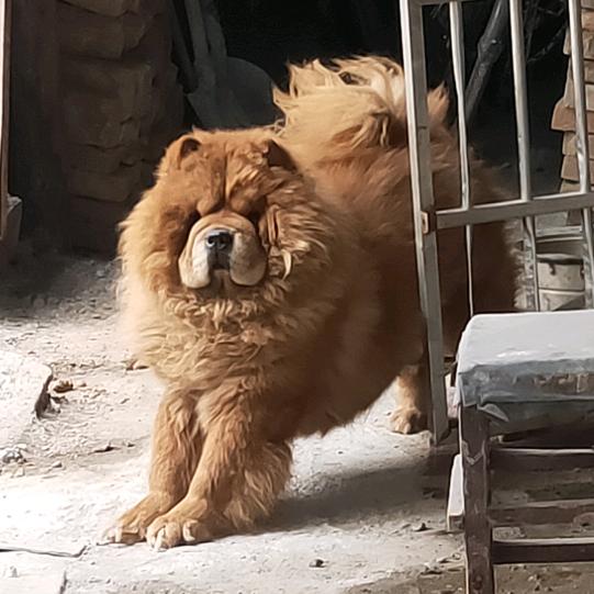 不评人