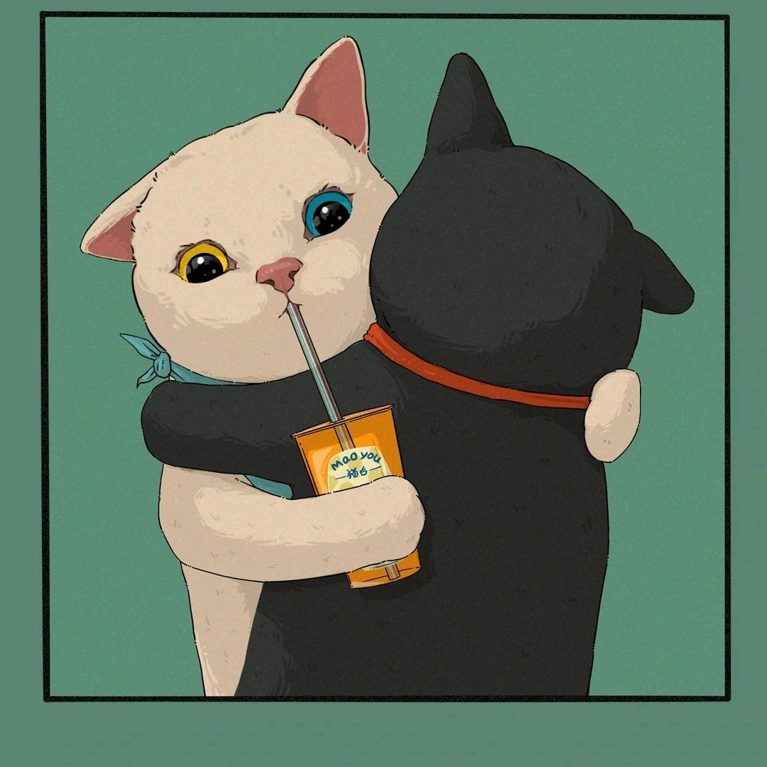 @你的猫