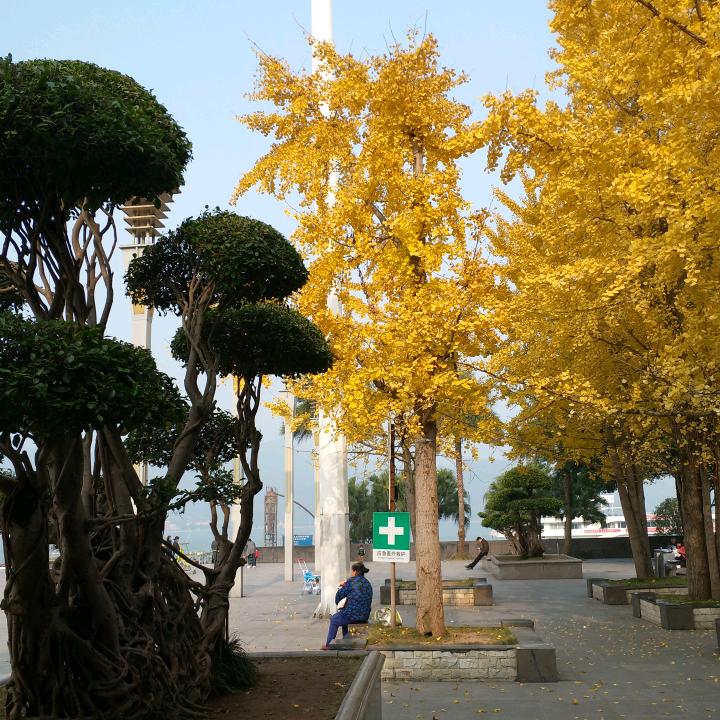 雪花