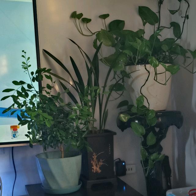 广来闲云静运营号