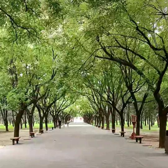 潇潇潇