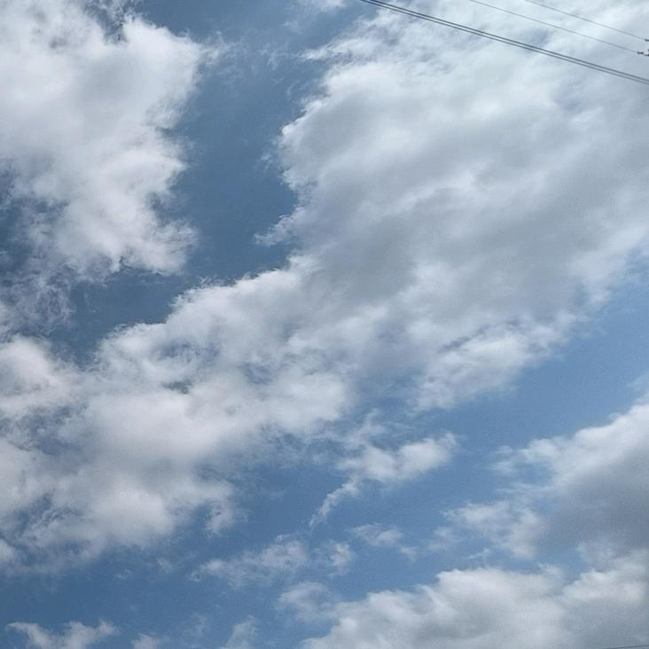 (＠＾随０＾风＠)/