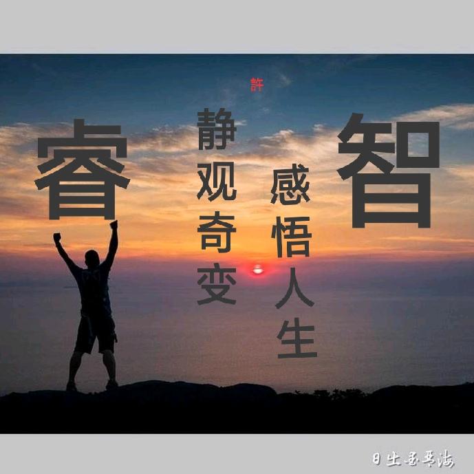随意而安