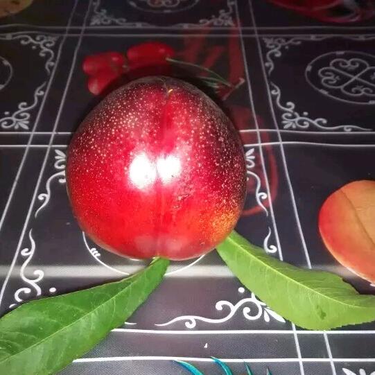 格局马特宏