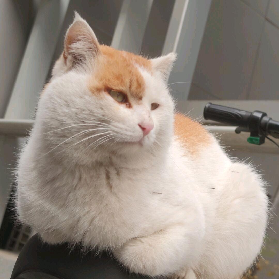 肀樨～