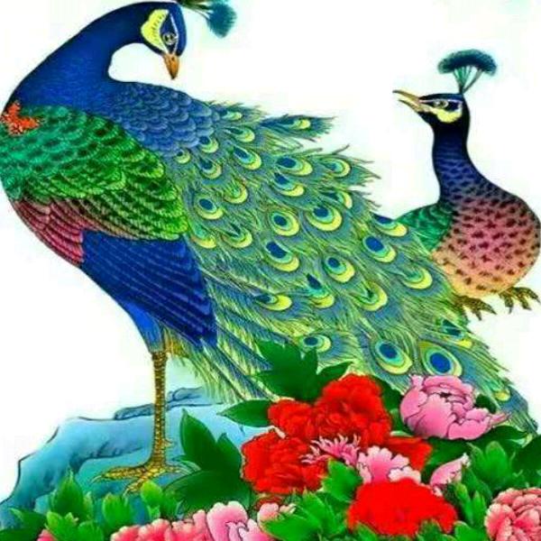 快乐每一天