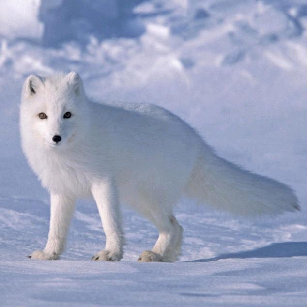 我爱宝贝（勿连赞）