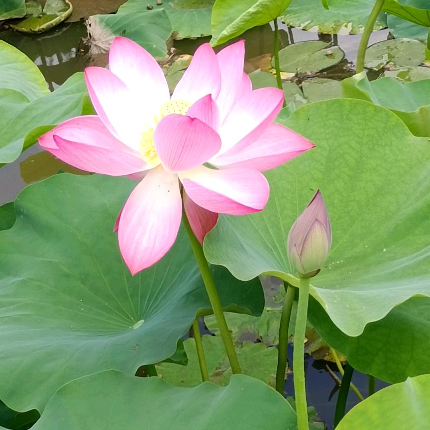 游历山水（发现美好，感悟生命）