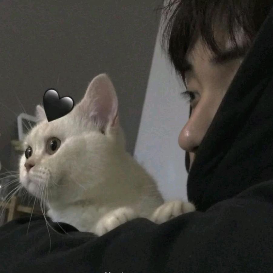 睡不醒的  冫許