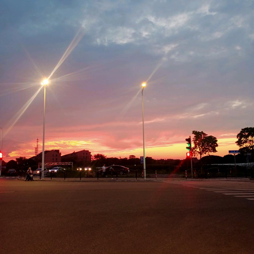 癞蛤蟆抱青蛙  长里丑玩的花