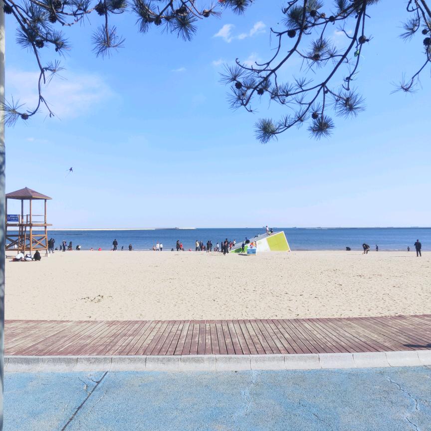 风声水起，靠自己！