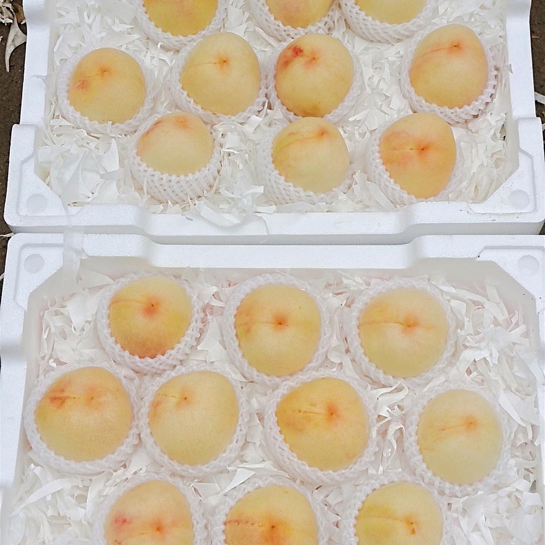 三少专业水蜜桃🍑🍑🍑代办